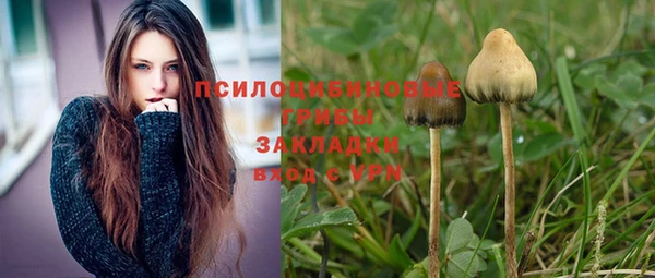 прущая мука Иннополис