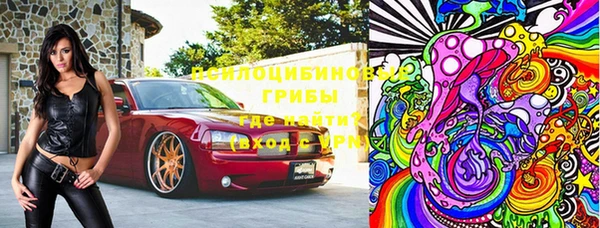 а пвп мука Инсар