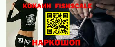 jwh Бийск