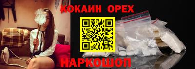 jwh Бийск