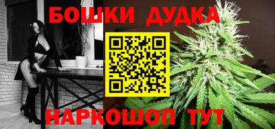jwh Бийск