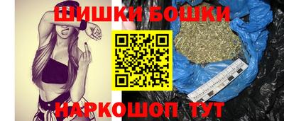 jwh Бийск