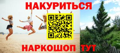 jwh Бийск
