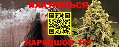 jwh Бийск
