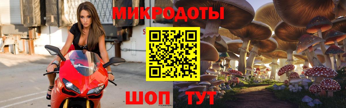 купить наркотик  Псилоцибиновые грибы прущие грибы  Белгород  Галлюциногенные грибы Magic Shrooms 