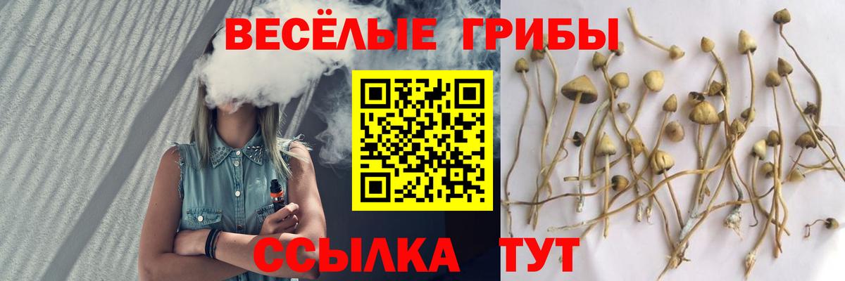 Псилоцибиновые грибы Magic Shrooms Белгород