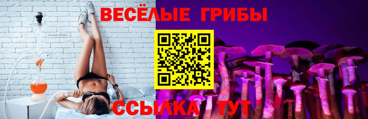 Белгород  Псилоцибиновые грибы MAGIC MUSHROOMS  Вход с VPN  Псилоцибиновые грибы ЛСД 